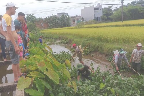 Hàng chục người dân tụ tập xem bắt cá giữa mùa dịch