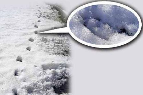 Dấu chân của quỷ: Bí ẩn rùng rợn