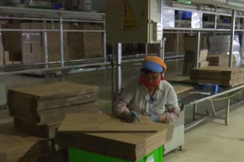 Doanh nghiệp và người lao động gặp khó trong mùa dịch