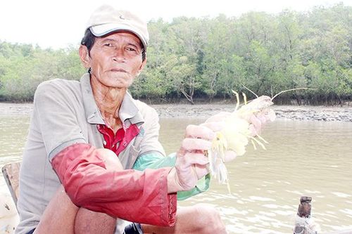Mùa sản vật trên sông