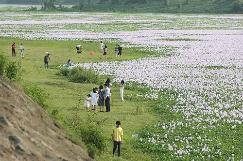 Thực hiện giãn cách xã hội nhưng người dân vẫn tụ tập đông ở hồ Đồng Tuyển