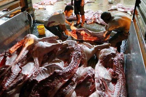 Số lượng gia súc, gia cầm giết mổ giảm