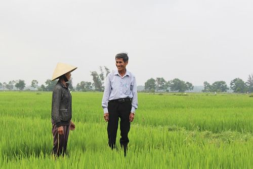 Xây dựng được Bộ quy trình kỹ thuật thực hành CSA cho các đối tượng cây trồng chính