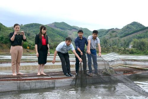 Thắng Quân phấn đấu đạt chuẩn nông thôn mới, hướng đến xây dựng đô thị loại IV