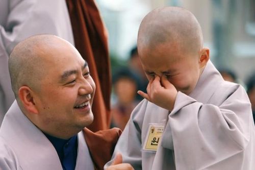 Tôi đi tu : Trưởng thành với 'quyển sổ sửa mình'