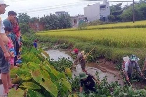 Xem 4 thanh niên dùng xung điện chích cá, nhiều người không đeo khẩu trang