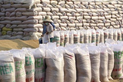 Doanh nghiệp xuất khẩu gạo gặp khó vì trục trặc tờ khai hải quan