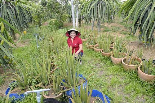 Hạt nhân của phong trào phụ nữ