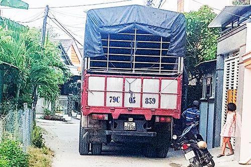 Cấm nhưng vẫn cố tình vi phạm