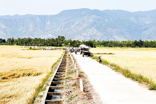 Nỗ lực xây dựng nông thôn mới