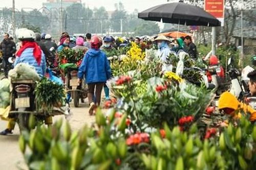Khẩn: Người mua bán ở chợ hoa Mê Linh từ 20/3 cần liên hệ y tế gấp