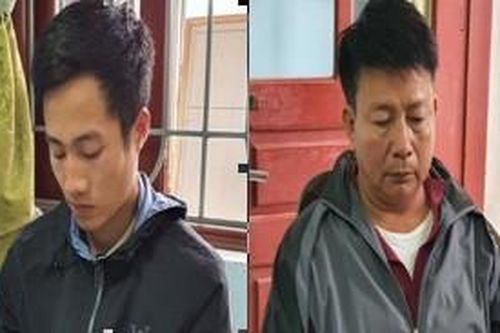Ổ nhóm đột nhập, chích điện, trộm cắp gần 10 con lợn