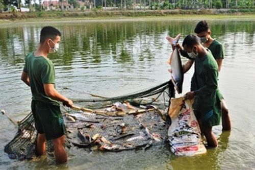 Đảm bảo tốt bữa ăn cho bộ đội và người cách ly
