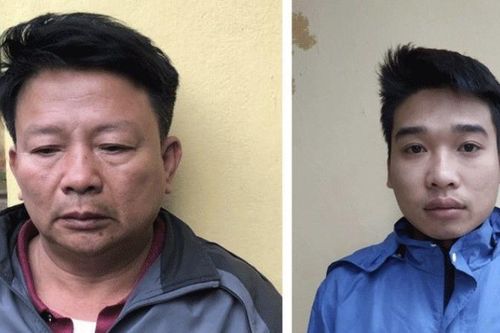 Triệt phá băng nhóm trộm cắp lợn chuyên nghiệp
