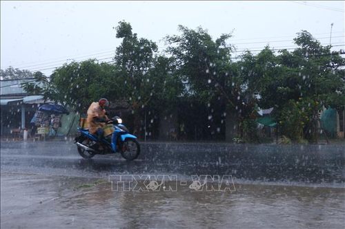 'Mưa vàng' giải cứu vùng hạn mặn Sóc Trăng