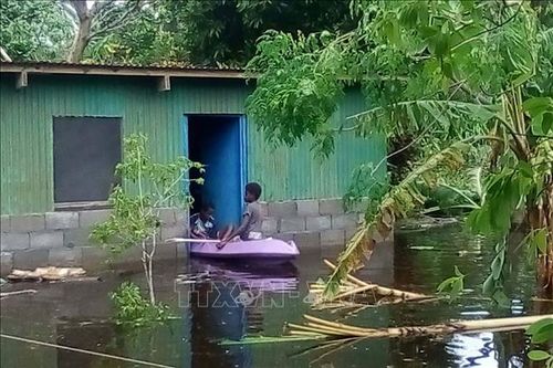 Fiji ban bố tình trạng thảm họa thiên nhiên sau bão Harold