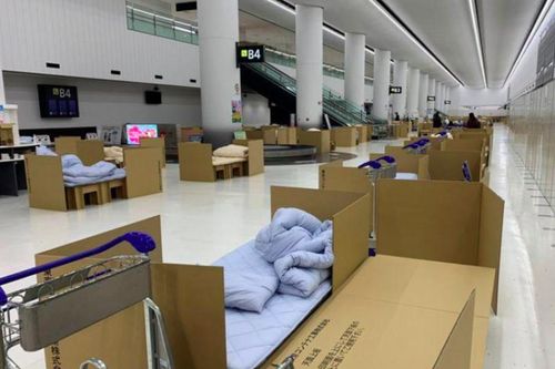 Sân bay Nhật Bản dựng 'khách sạn' bìa carton cho du khách mắc kẹt