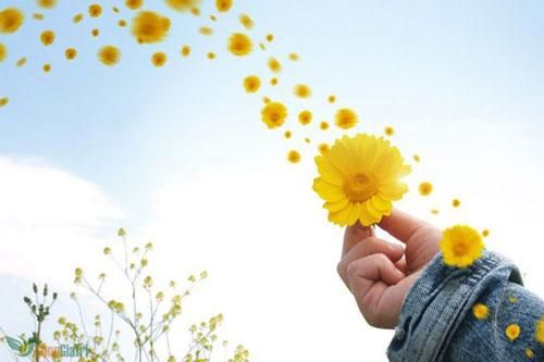 Hạnh phúc ngay ở cạnh mình, đừng thờ ơ quá mà đánh mất để rồi nuối tiếc