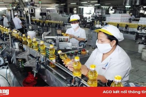 Hai giai đoạn thực hiện gói kích thích kinh tế