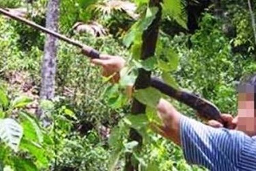 Bài học đau lòng từ vụ thợ săn bắn nhầm