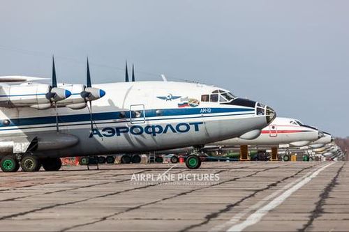 'Ngựa thồ' huyền thoại An-12 Nga sắp có 'truyền nhân' xứng đáng