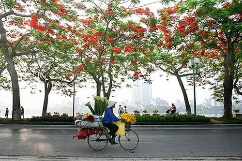 Tình yêu và cuộc sống Hà Nội