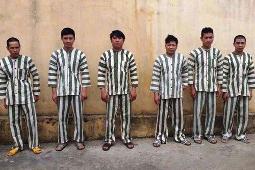 Bắt khẩn cấp sáu đối tượng phá rừng