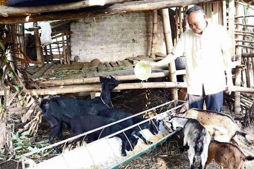 Già làng 'xắn tay' xây nông thôn mới