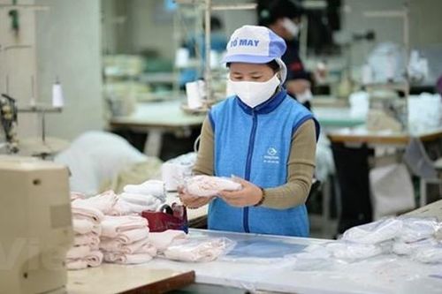 Bộ Y tế yêu cầu xử lý đơn vị chậm báo cáo năng lực cung cấp khẩu trang