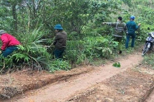 Tìm thấy bé trai gần 3 tuổi lạc trong rừng