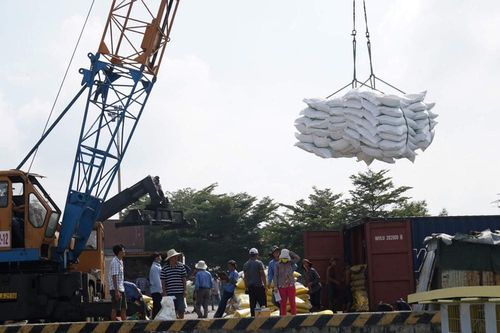 Mới mua được 7.700 tấn gạo dự trữ quốc gia