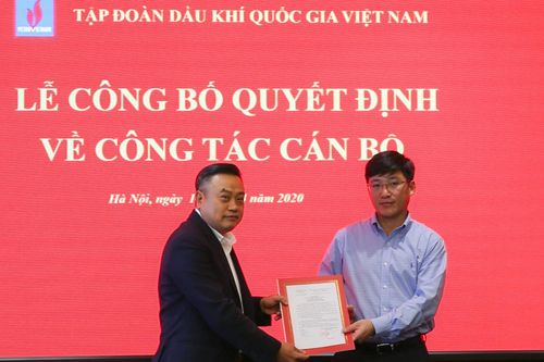 Bổ nhiệm lãnh đạo Ban Tổng hợp Tập đoàn Dầu khí Việt Nam