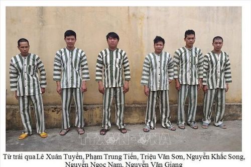 Bắt khẩn cấp 6 đối tượng phá rừng tại Gia Lai