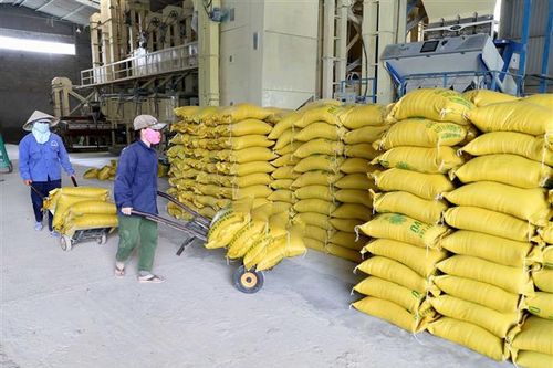 Trả lời chính thức của Tổng cục trưởng Tổng cục Hải quan về việc tờ khai xuất khẩu gạo mở vào 'giờ hiểm'
