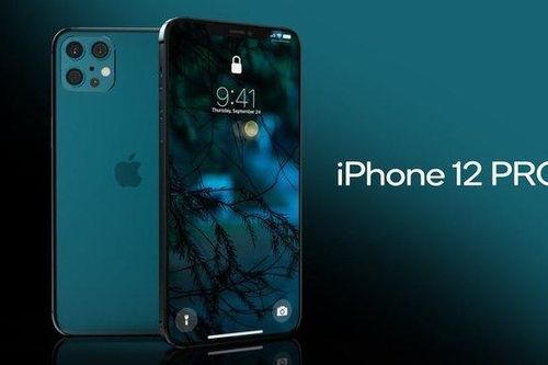 Lộ diện màn hình lớn nhất lịch sử của iPhone 12