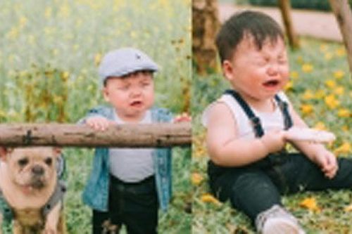 Được chụp ảnh bên 'bạn chó' đáng yêu nhưng cậu nhóc lại khóc lóc vật vã khiến dân mạng 'phát sốt'