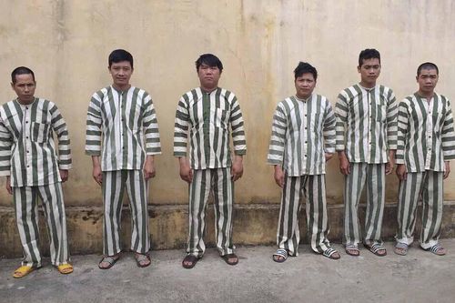 Kbang: Bắt khẩn cấp 6 lâm tặc cưa 4 cây gỗ hương