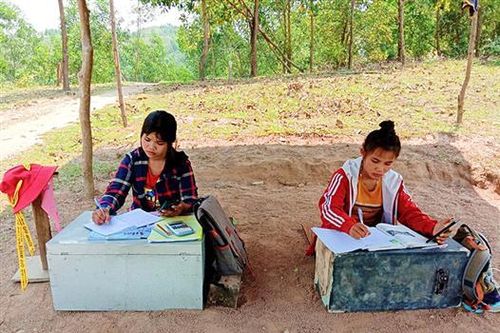 Dựng lều học trực tuyến