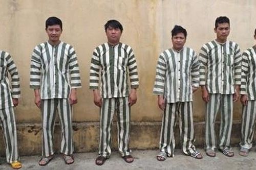 Tạm giữ 6 đối tượng khai thác gỗ trái phép