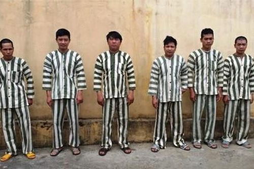 Bắt 6 đối tượng liều lĩnh khai thác gỗ hương cổ thụ