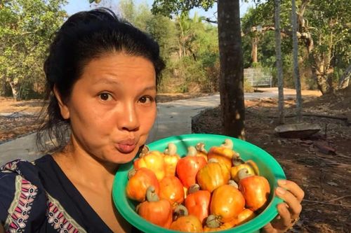 Diễn viên phim 'Bi, đừng sợ' cải tạo mảnh vườn 5000 m2 thành vườn cây ăn quả