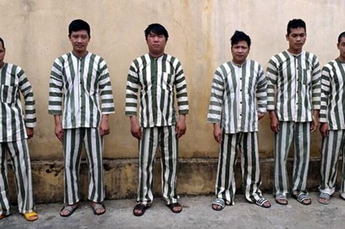 Bắt khẩn cấp 6 đối tượng đốn hạ 4 cây gỗ hương quý