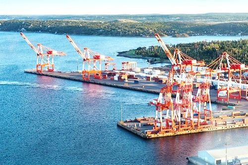 Đối phó dịch Covid-19, Mỹ thảo luận kế hoạch tái khởi động nền kinh tế
