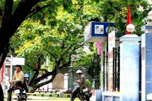Huế dịu dàng trong sắc vàng hoa hoàng điệp