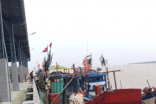 Cà Mau: Tháo thiết bị giám sát hành trình, 4 tàu cá bị phạt hơn 1,6 tỷ đồng