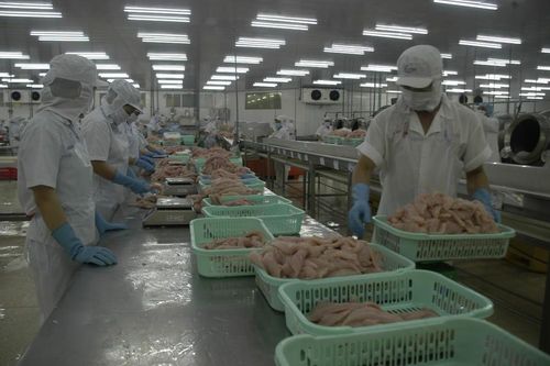 Nhiều doanh nghiệp thủy sản không thể trụ vững nếu dịch COVID -19 kéo dài