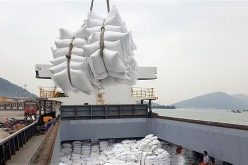 Nhiều doanh nghiệp gạo bỏ trúng thầu dự trữ sang xuất khẩu