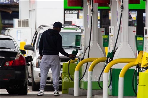 OPEC+ có kế hoạch tiếp tục cắt giảm 19,5 triệu thùng/ngày