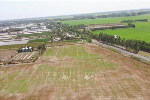 Công bố tình huống khẩn cấp do hạn, mặn xâm nhập tại Sóc Trăng