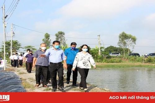 Bí thư Tỉnh ủy An Giang Võ Thị Ánh Xuân khảo sát tình hình sản xuất, tiêu thụ nông sản trên địa bàn huyện Chợ Mới